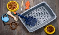 2026宠物产物入市：一只猫激发的千亿市场思虑